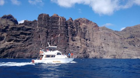 Observación de cetáceos en Familia en el sur de Tenerife