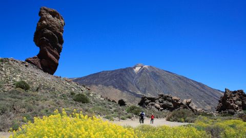 Excursión al Parque Nacional del Teide