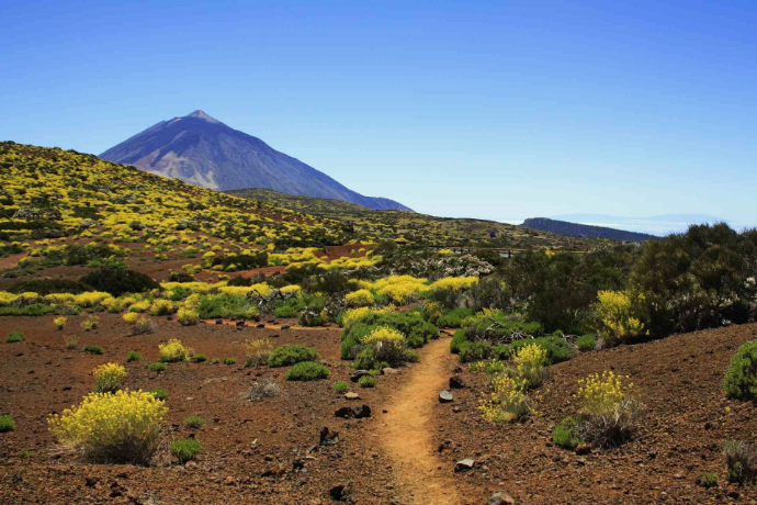 Sendero en el Parqe Nacional del Teide con vistas al volcán de Teide