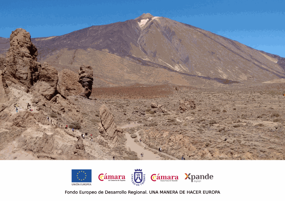 Volcan del Teide y Roques de García