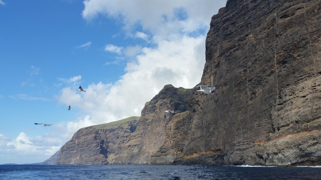 Randonnée à Tenerife