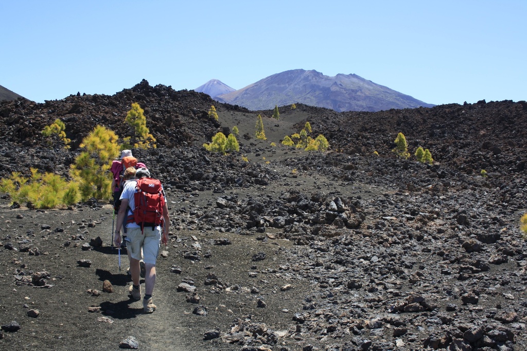 Randonnée des Volcans Historiques de Tenerife