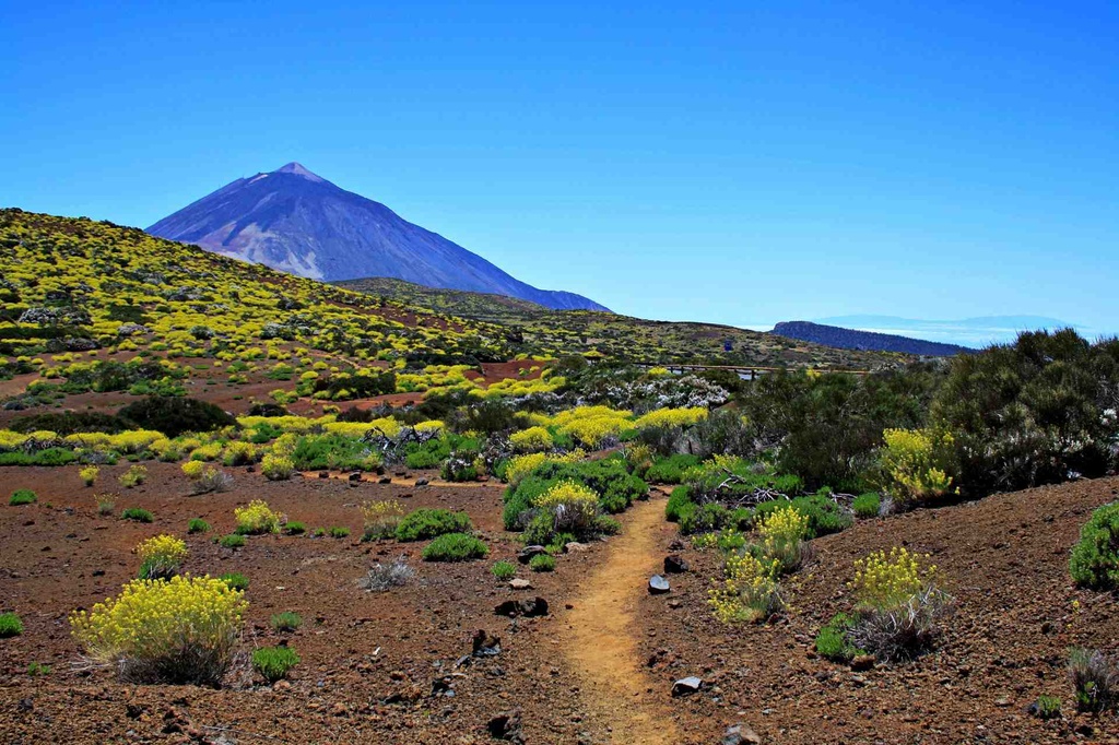Hiking in the Teide National Park