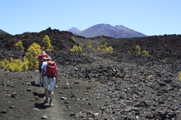 Path of the Historic volcanoes of Tenerife
