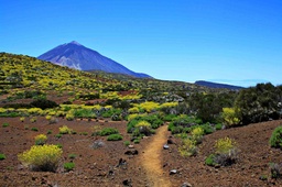 Hiking in the Teide National Park