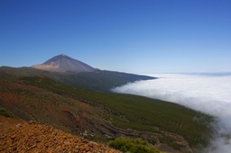 Tour Privado al Parque Nacional del Teide