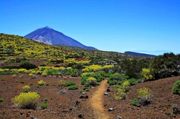 Private Walk in Teide National Park